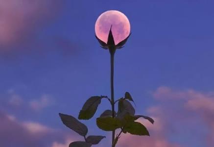 年会发朋友圈心情说说_过年发朋友圈的说说