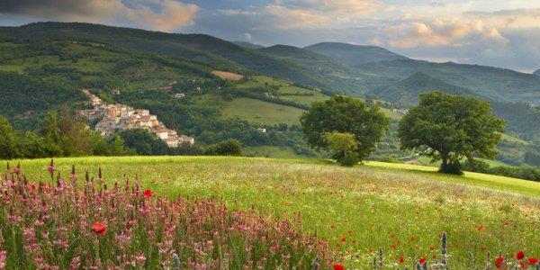 抒发思念的诗句 思念抒情的诗句大全