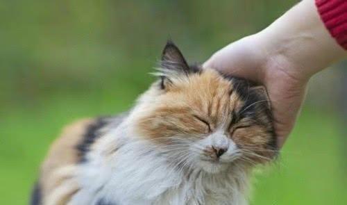 另类骂人套词 另类骂人套词顺口溜