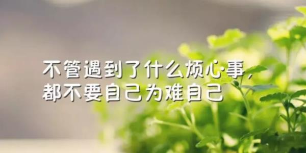 深入人心的感情句子 深入人心的感情句子配图