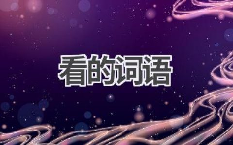 看的词语