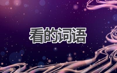 看的词语