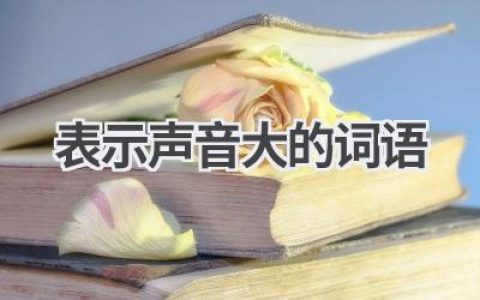 表示声音大的词语