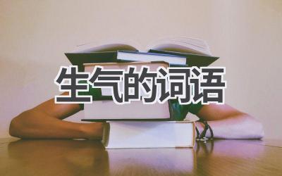 生气的词语