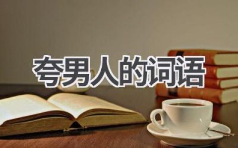 夸男人的词语