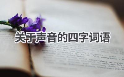 关于声音的四字词语