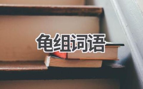 龟组词语