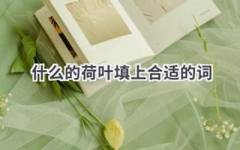 什么的荷叶填上合适的词