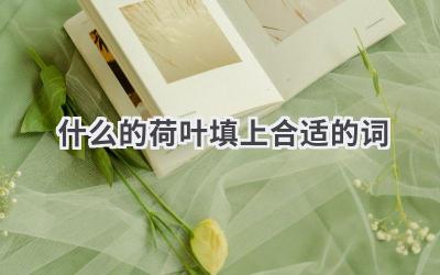 什么的荷叶填上合适的词