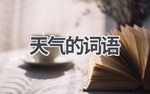天气的词语