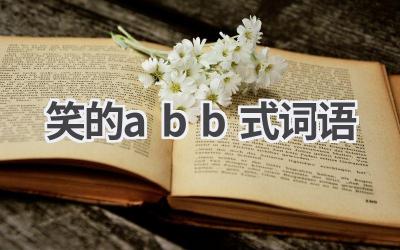 笑的abb式词语