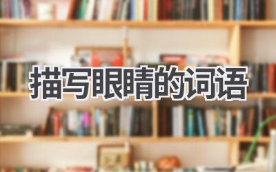 描写眼睛的词语