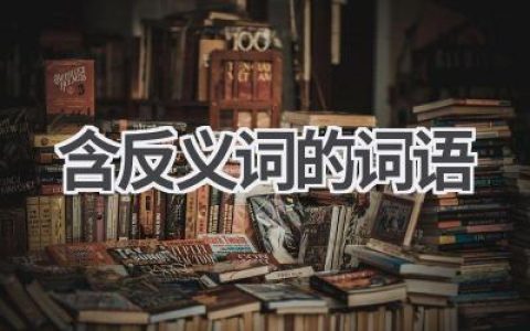 含反义词的词语
