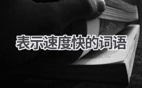 表示速度快的词语