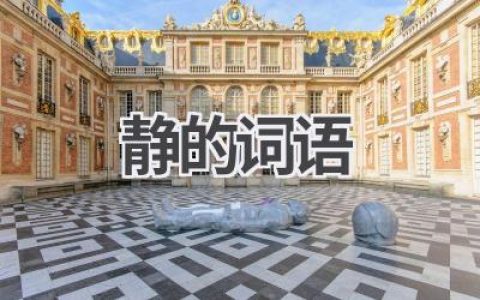 静的词语
