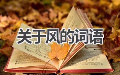 关于风的词语