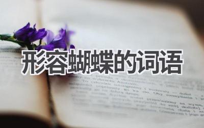 形容蝴蝶的词语