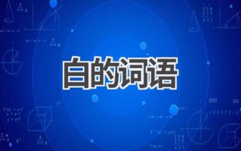 白的词语