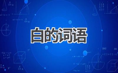 白的词语