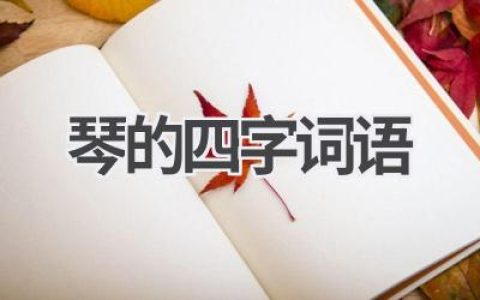 琴的四字词语