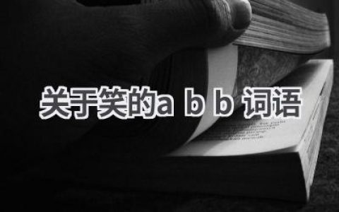 关于笑的abb词语