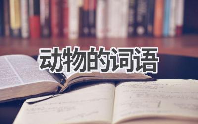动物的词语