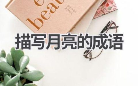 描写月亮的成语