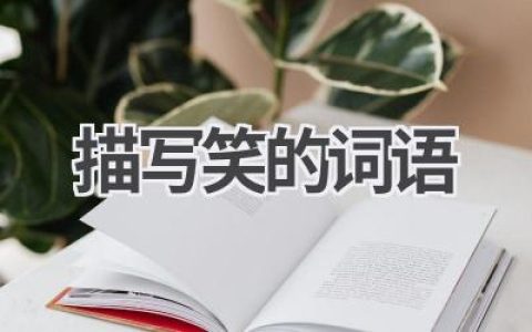 描写笑的词语