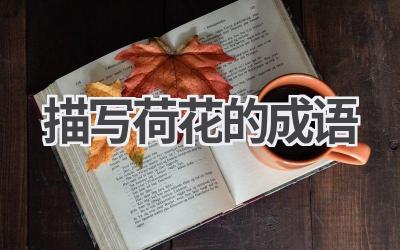 描写荷花的成语