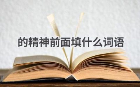 的精神前面填什么词语