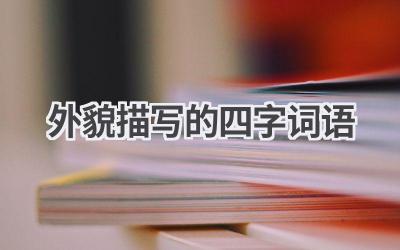外貌描写的四字词语