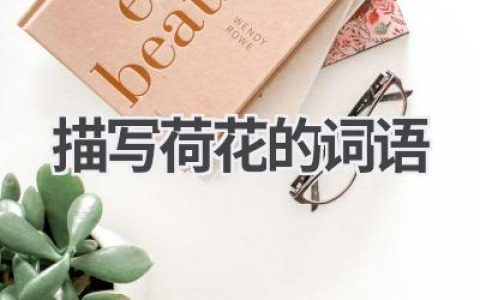 描写荷花的词语