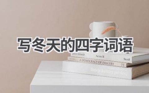 写冬天的四字词语