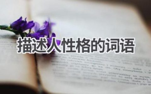 描述人性格的词语
