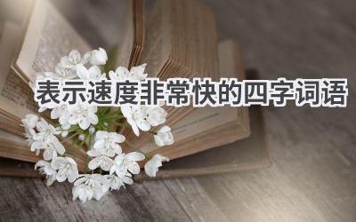 表示速度非常快的四字词语