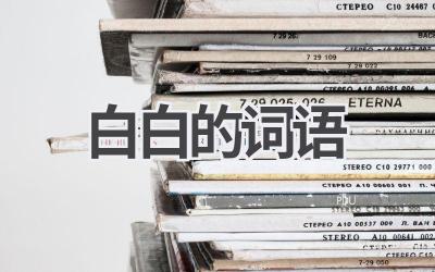 白白的词语