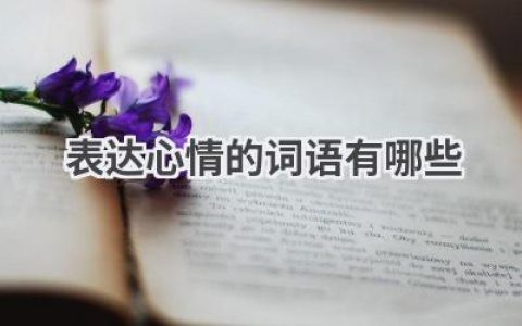表达心情的词语有哪些