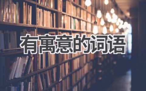 有寓意的词语