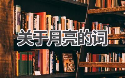关于月亮的词