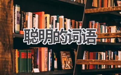 聪明的词语