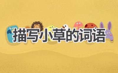 描写小草的词语