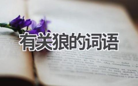有关狼的词语