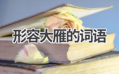 形容大雁的词语