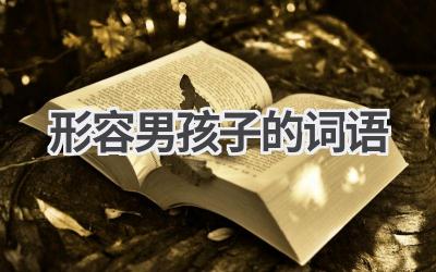 形容男孩子的词语