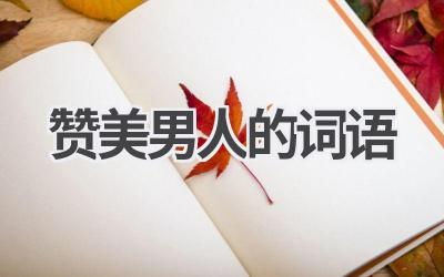 赞美男人的词语