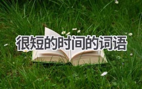 很短的时间的词语