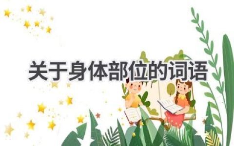 关于身体部位的词语