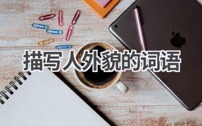描写人外貌的词语