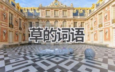 草的词语