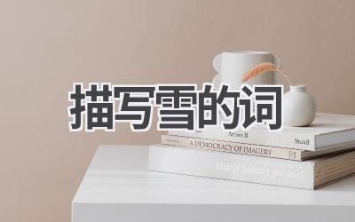 描写雪的词